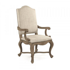 Zentique Grayson Pack of 2 Arm Chair (CFH422-F E272 C053-2)